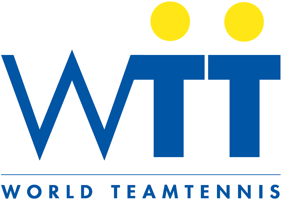 World TeamTennis 1994-1997 Primary Logo iron on transfers for clothing